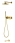   Boheme Spectre 454-2-G  , Gold ( )